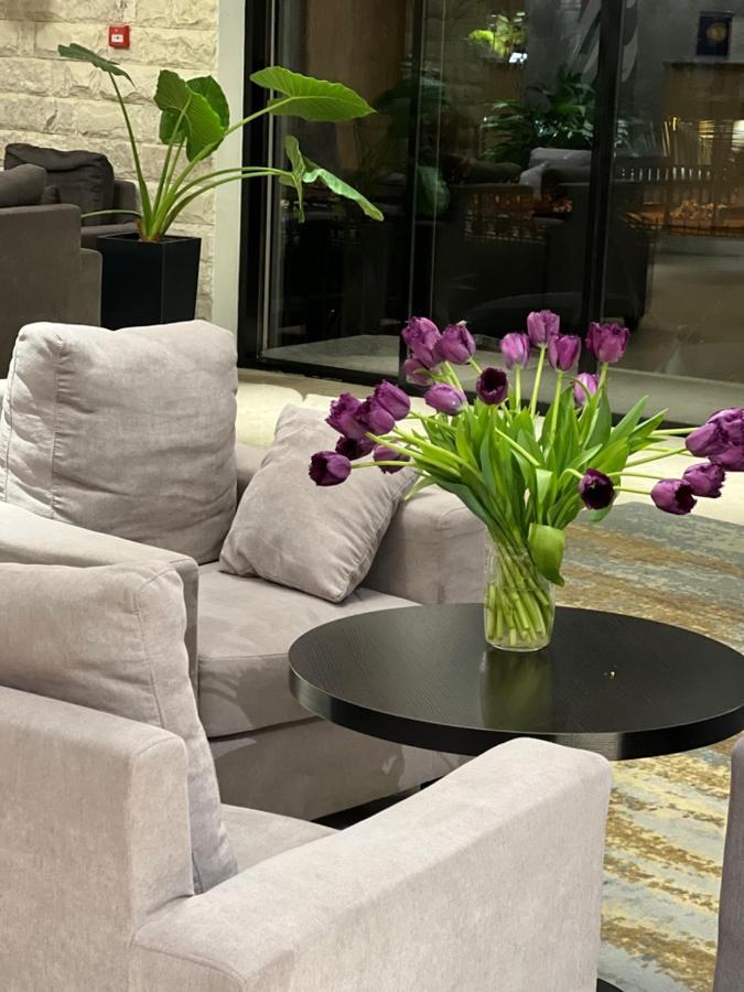 Abaash Hotel Afon New Athos Exteriör bild